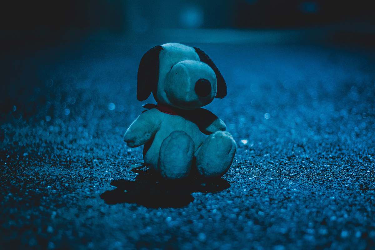 villa alemana white dog plush toy on sandy ground at nighttime chile